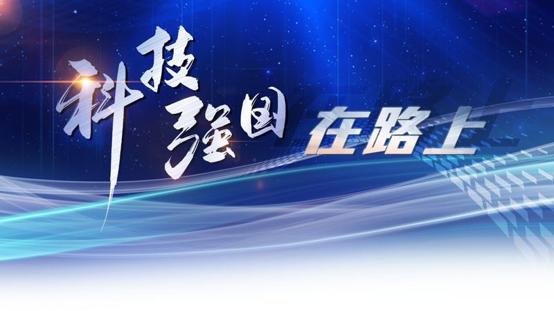 数据服务代理加盟：揭秘货源支持背后的关键要素