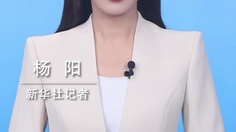 政务数据湖建设方案：构建高效政务数据治理新生态